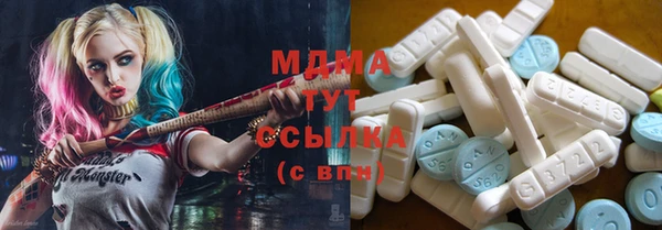 гидра Богородск