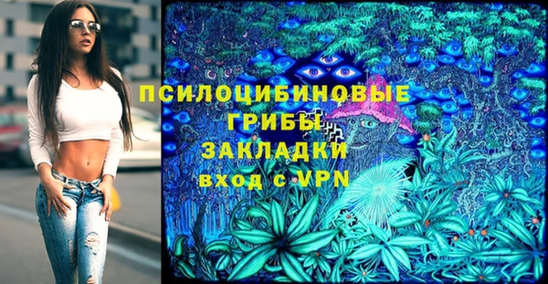 молекула духа Богородицк