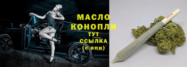 гидра Богородск