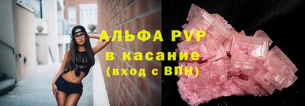 гидра Богородск