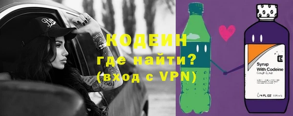 молекула духа Богородицк
