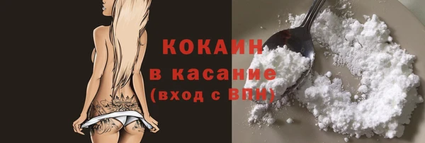 молекула духа Богородицк