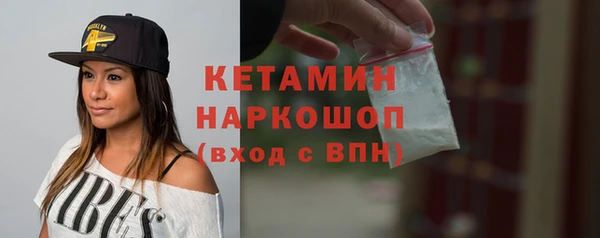 гидра Богородск