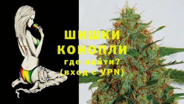 кокс Ростов