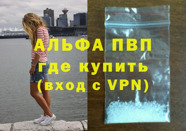 молекула духа Богородицк
