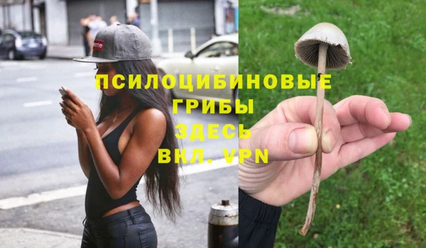 гидра Богородск
