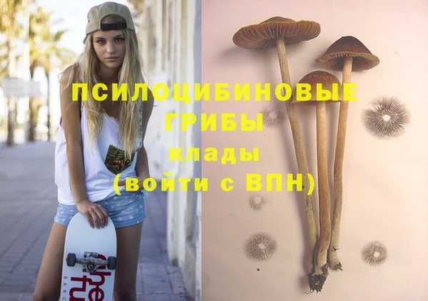 молекула духа Богородицк