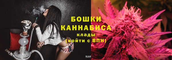 молекула духа Богородицк
