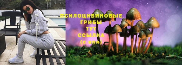 гидра Богородск