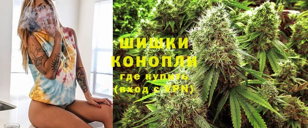 гидра Богородск
