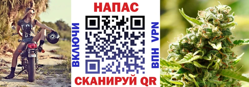 Шишки марихуана OG Kush  Сковородино 